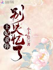 王妃求你别失忆了