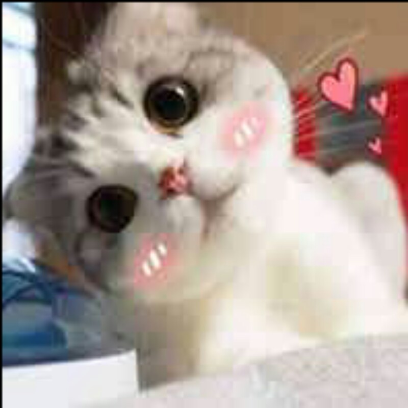 小丸子~