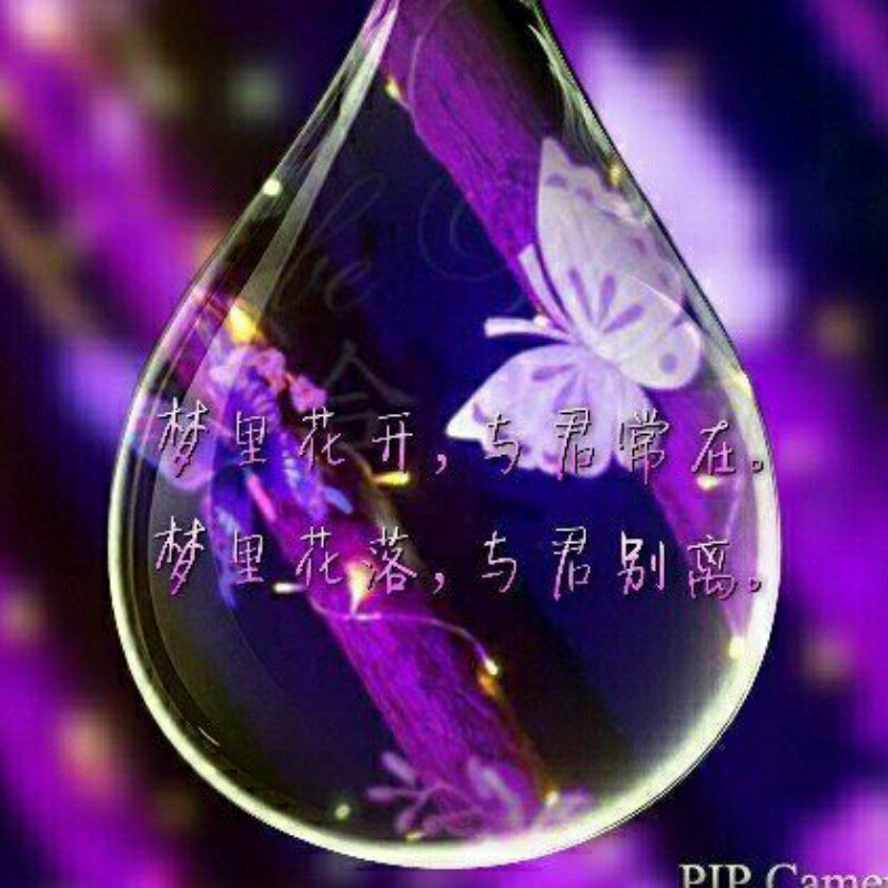 谁等我在遥远的未来