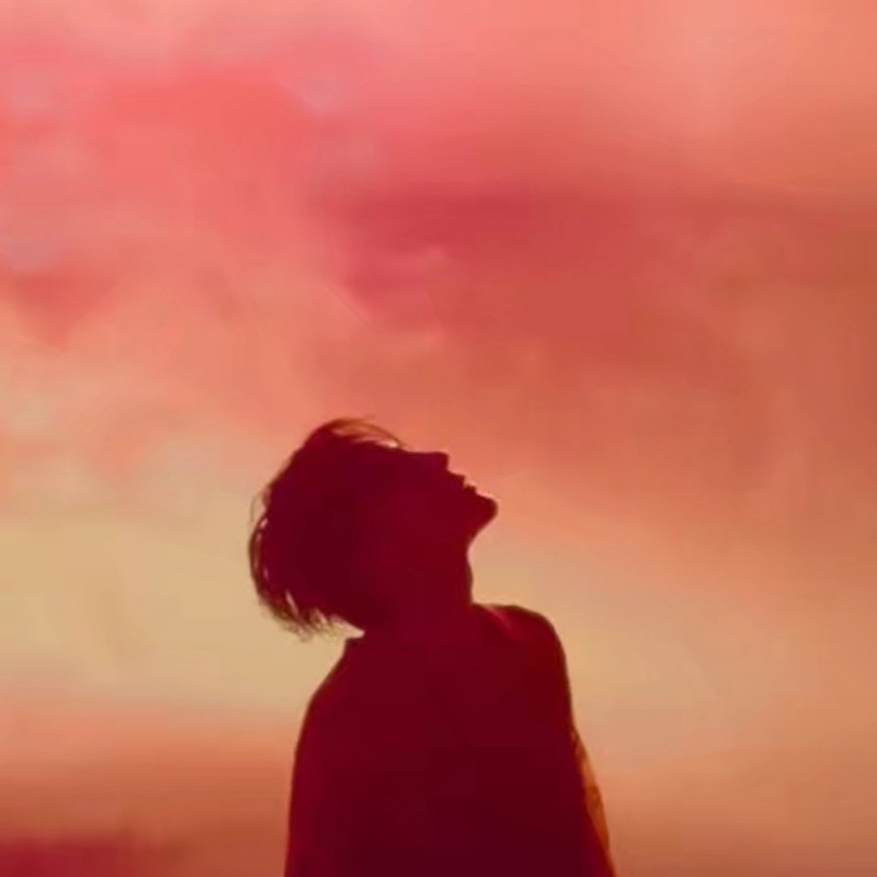 权家人的小迷妹