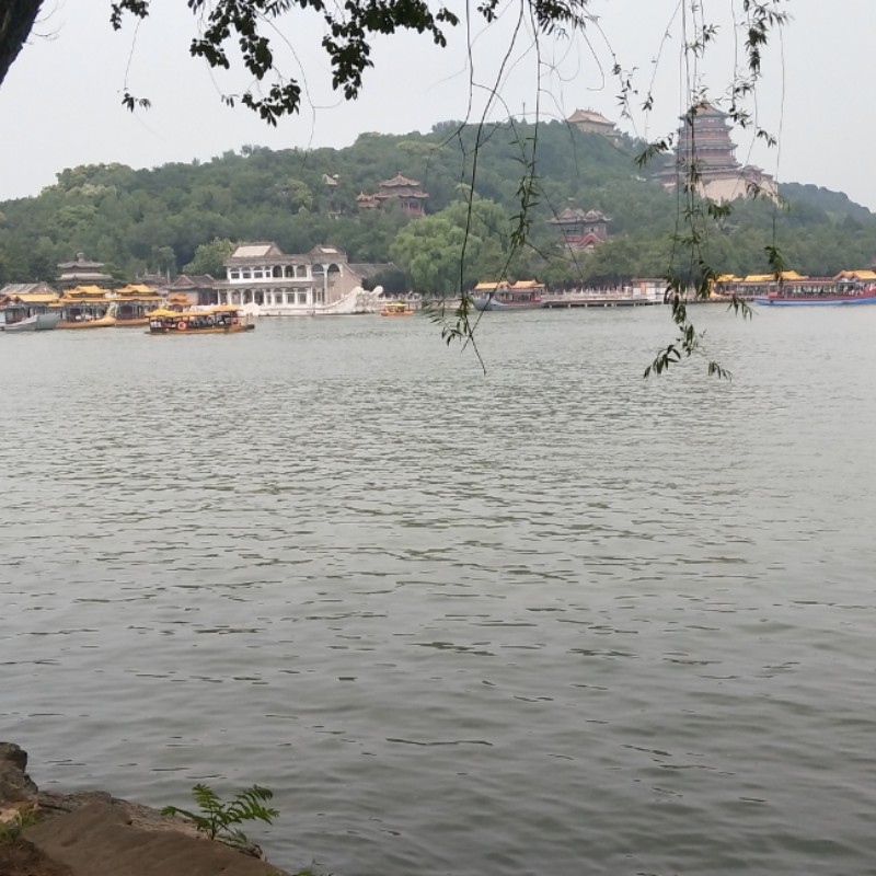 秋何必秋风画悲扇