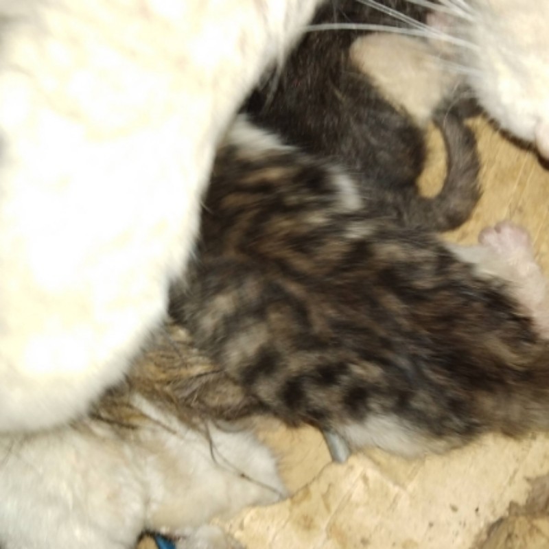 没有好看的小说