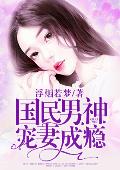 国民男神宠妻成瘾