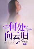 何处向云归