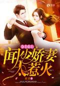 金主在上：闻少娇妻太惹火【完本】
