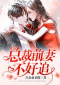 总裁前妻不好追