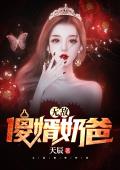 无敌傻婿奶爸