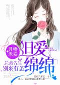旧爱绵绵：总裁先生，别来有恙