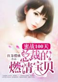蜜战100天：总裁的燃情宝贝