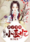 世子爷的惊天小医妃