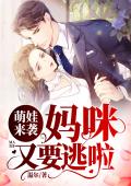 萌娃来袭，妈咪又要逃啦