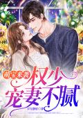 萌宝来袭：权少宠妻不腻