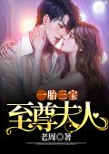 一胎三宝：至尊夫人