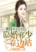萌妻逆袭：隐婚邪少靠边站