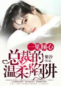 一见倾心：总裁的温柔陷阱