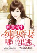 画爱为牢：纯良娇妻哪里逃