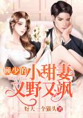 顾少的小甜妻又野又飒