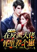 穿书后，在反派大佬怀里养个崽