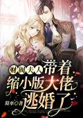 财阀夫人带着缩小版大佬逃婚了