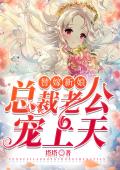 替嫁新娘：总裁老公宠上天
