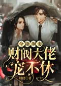 全能飒妻，财阀大佬宠不休