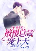 重生后被傻总裁宠上天