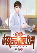 都市极品医婿