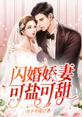 闪婚娇妻可盐可甜