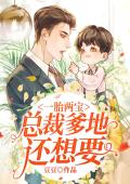 一胎两宝：总裁爹地还想要