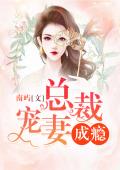 总裁宠妻成瘾