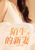 陌生的新妻