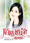 婚途陌路