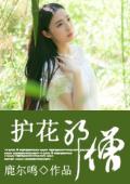 护花邪僧