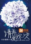 请再爱我一次