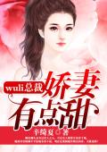 wuli总裁：娇妻，有点甜