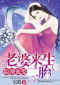 隐婚蜜爱：老婆来生二胎