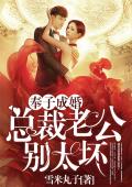 奉子成婚：总裁老公别太坏