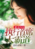 老公V5：执行首席太霸道