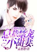 爱因思贪：总裁禁宠小甜妻