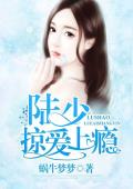 陆少掠爱上瘾