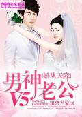 婚从天降：男神老公V5