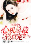 一夜遇爱：心机总裁，轻点宠