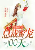 暖婚甜妻：总裁蜜宠100天