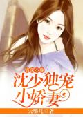 情深不晚：沈少独宠小娇妻