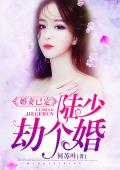 婚妻已定：陆少，劫个婚