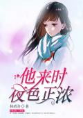 他来时夜色正浓