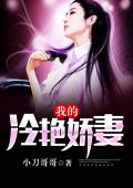 我的冷艳娇妻