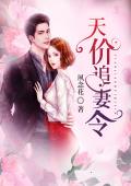 天价追妻令