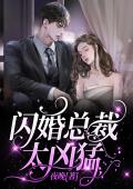 闪婚总裁太凶猛