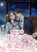 被迫成婚:残疾大佬宠妻上瘾